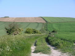 P20066103347	The track heading northeastwards from Fox Hill.