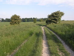 P20066113421	Heading southeast from Sparsholt Firs.