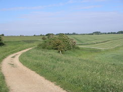 P20066113442	Heading east towards the Wantage Monument.