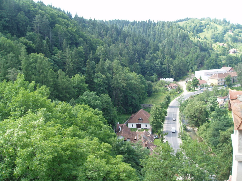 The view from Bran Castle.