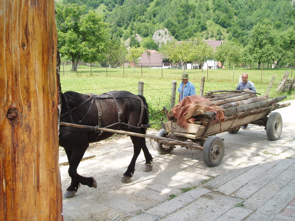 Lunch near Bran.