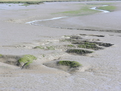 P20067293836	The mudflats to the east of The Strood.