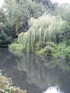 P20068260035	The canal heading southeast from Stroud.