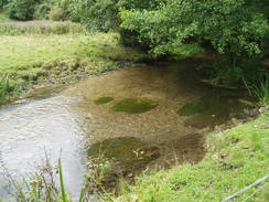 P20068260044	A river in Brimscombe.