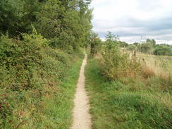 P20068260140	The path heading east towards Ashton Keynes.