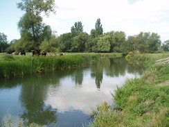 P20068270009	The River Thames in Inglesham.