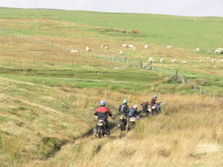 P20069244573	Scramble bikes approaching a boggy patch.