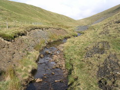 P20069244587	The infant Afon Clywedog.