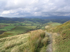 P20069244629	Heading west down the path from below Foel Fadian.