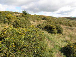 P20069264943	The path along the flank of Pen Coed.