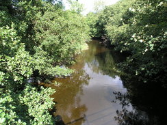 P20069264964	The Afon Banwy in Llangadfan.