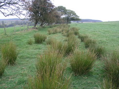 P20069275041	The drover's route leading to Penyffordd.