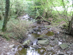 P20069275060	The stream in the bottom of a valley near Dyfnant.