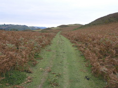 P20069275171	The path past Allt Dolanog.