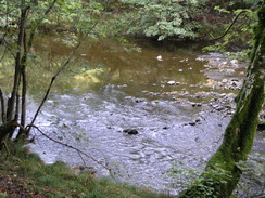 P20069285210	Looking down over the Afon Efyrnwy.