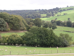 P20069285297	The view from near Trefnant.