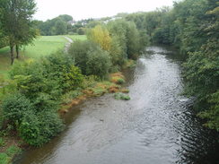 P20069290064	The River Severn in Newtown. 