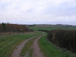 P2006B276433	Heading west along the track from Spaldwick.