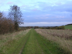 P2006B276437	Heading west along the track from Spaldwick.