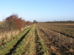 P2006C046600	The path heading north away from the Roman Road towards Fulbourn.