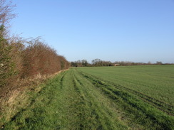 P2006C046608	The path heading north away from the Roman Road towards Fulbourn.