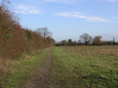 P2006C046667	Heading west from lode.