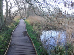 P2006C166760	The boardwalk beside the River Thet.