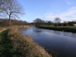 P20071147131	Heading east along the north bank of the Little Ouse from Brandon.