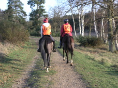 P20071147149	Two horse riders on the track.