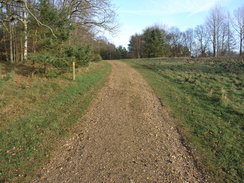 P20071147151	The track heading east from Santon to the A134.