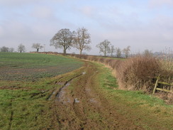 P20072177217	The track leading east towards Cank Farm.