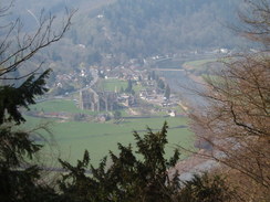 P20073310024	Looking down over Tintern Abbey.