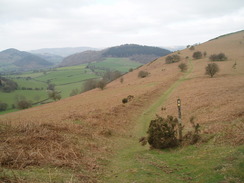 P20074040213	The descent down towards Herrock Hill.