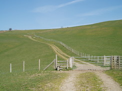 P20074040253	The ascent up from Dolley Green.