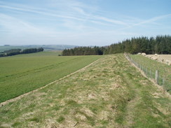 P20074040269	Offa's Dyke on Hawthorn Hill.