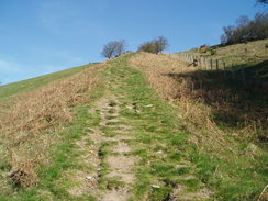 P20074050381	The steep climb up north from Churchtown.