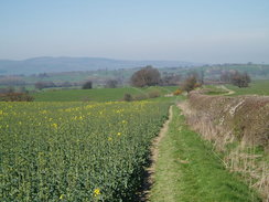 P20074050409	Heading north from Brompton alongside Offa's Dyke.