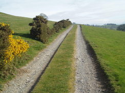 P20074090054	Looking northeastwards along the track heading past Gyrn.