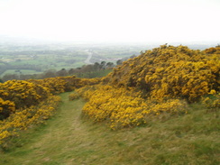 P20074100198	The descent down from the flank of Moel Maenefa.