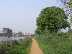 P20074147483	The path leading to Chiswick Bridge.