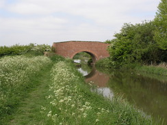 P20075057866	The canal leading towards Misterton.