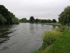 P20075268063	The river at Runnymede.