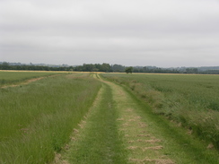 P20076108115	The track leading from Whaddon to the Wimpole Avenue.