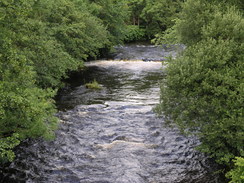 P20077068239	The River Taf in Merthyr Tydfil.