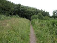 P20077068295	The path leading down to the road from the old railway line.