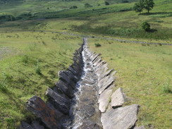 P20077078314	Crossing a stream on a hillside.