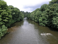 P20077088481	The River Taf at Forest Farm.