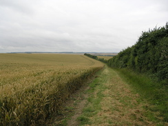 P20077118557	The path climbing up towards Burtonwood Farm. 