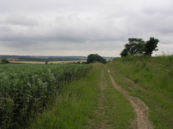 P20077118596	The track leading north to Balsham.