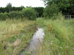 P20077118626	A boggy track leading to Willingham Green.